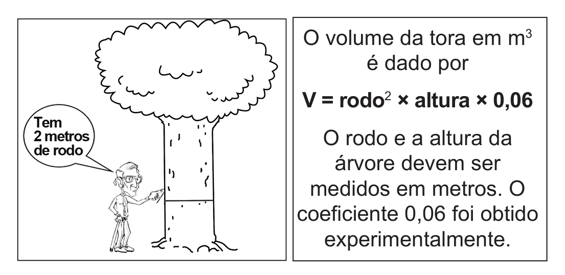 Quadro com dois painéis: à esquerda, desenho de uma árvore frondosa e de um homem de óculos apontando para uma marca no tronco, com o balão "Tem 2 metros de rodo"; à direita, o texto "O volume da tora em m³ é dado por V = rodo² × altura × 0,06. O rodo e a altura da árvore devem ser medidos em metros. O coeficiente 0,06 foi obtido experimentalmente."