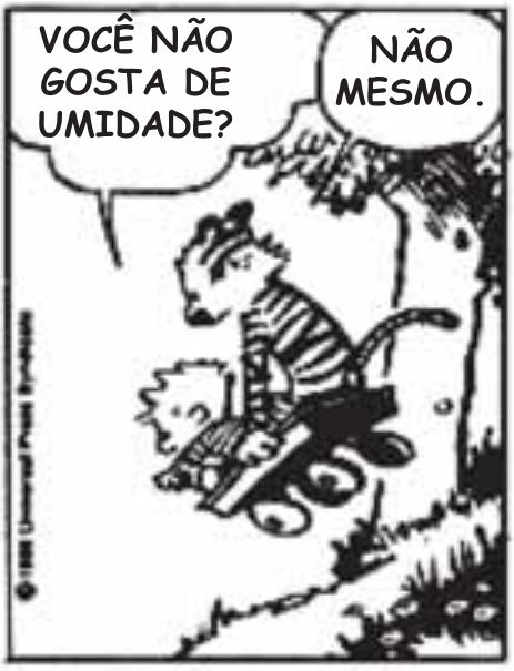 Quadro 3 de 4. O carrinho desce uma encosta entre árvores. Calvin pergunta: “VOCÊ NÃO GOSTA DE UMIDADE?”. Haroldo responde: “NÃO MESMO.”.