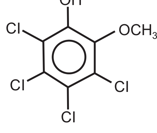 Fórmula estrutural do tetracloroguaiacol: um anel benzênico com um grupo OH no topo, um grupo OCH3 na posição vizinha e quatro átomos de cloro (Cl) nas outras quatro posições do anel. Rótulo: Tetracloroguaiacol.