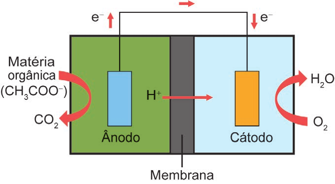 Esquema de célula a combustível microbiana com ânodo, cátodo, membrana e fluxos de elétrons e íons.