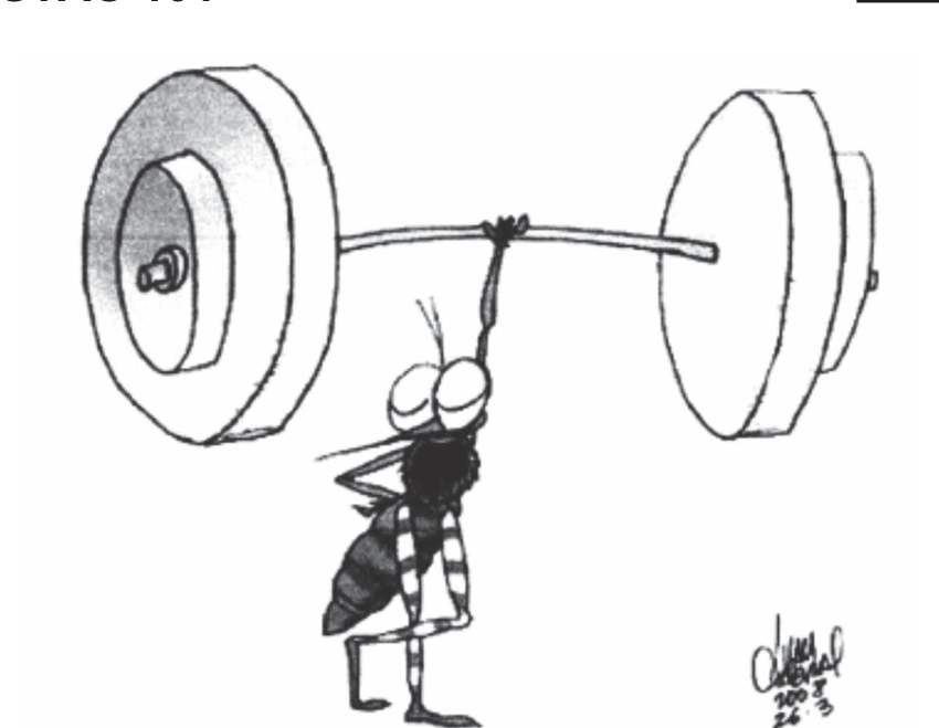 Charge em preto e branco: um mosquito de corpo listrado, em pé sobre as patas traseiras, com olhos grandes e expressão de esforço, levanta acima da cabeça, com uma única pata dianteira, uma enorme barra de halteres com dois grandes discos em cada ponta; assinatura do cartunista no canto inferior direito.