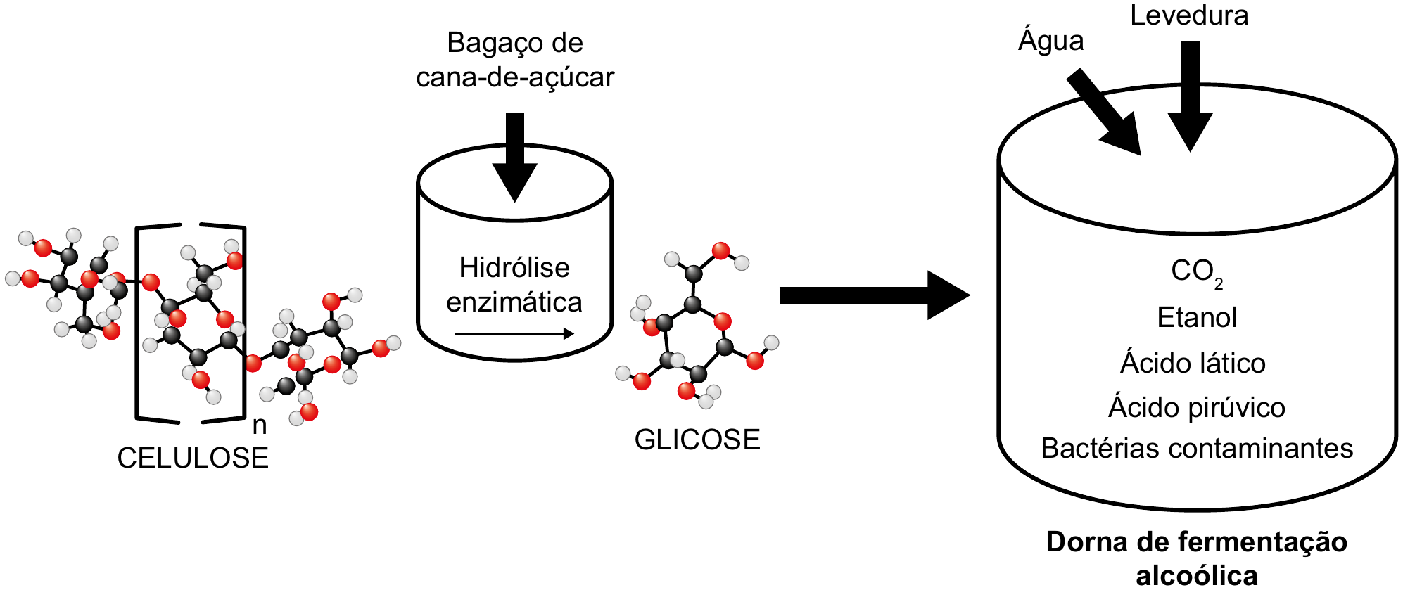 Esquema do processo, da esquerda para a direita. Modelo molecular de bolas e varetas de uma cadeia com a unidade repetitiva entre colchetes e índice n, com a legenda “CELULOSE”. Um reservatório cilíndrico com a inscrição “Hidrólise enzimática” e uma seta para a direita, no qual entra, por cima, “Bagaço de cana-de-açúcar”. Modelo molecular com a legenda “GLICOSE”. Uma seta grossa leva a um grande recipiente cilíndrico, com a legenda em negrito “Dorna de fermentação alcoólica”, no qual entram, por cima, “Água” e “Levedura”; dentro dele estão listados: “CO₂, Etanol, Ácido lático, Ácido pirúvico, Bactérias contaminantes”.