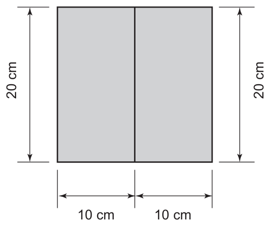 Dois retângulos cinza lado a lado, cada um com 10 cm de largura e 20 cm de altura, formando um retângulo maior de 20 cm por 20 cm; as cotas indicam 20 cm na vertical (dos dois lados) e 10 cm + 10 cm na horizontal.