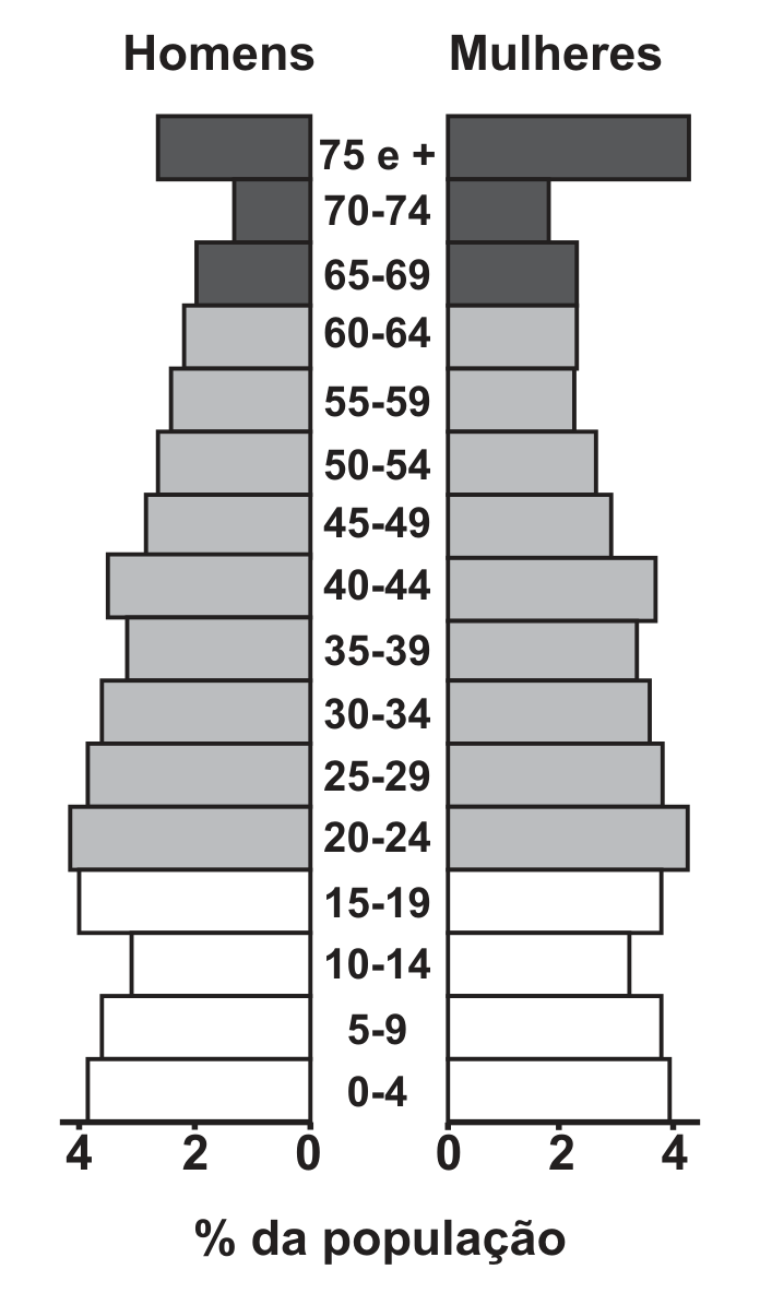 Pirâmide etária com duas colunas de barras horizontais, "Homens" à esquerda e "Mulheres" à direita, e as faixas de idade no centro, de "0-4" a "75 e +". O eixo horizontal marca "% da população", de 0 a 4 para cada lado. As barras das faixas de 0 a 19 anos são brancas e relativamente estreitas (cerca de 3%); as faixas de 20 a 64 anos, em cinza claro, são as mais largas (perto de 4% em 20-24 e 40-44); as faixas de 65 anos ou mais, em cinza escuro, voltam a se alargar no topo, com a faixa "75 e +" quase tão larga quanto as do meio, sobretudo entre as mulheres.