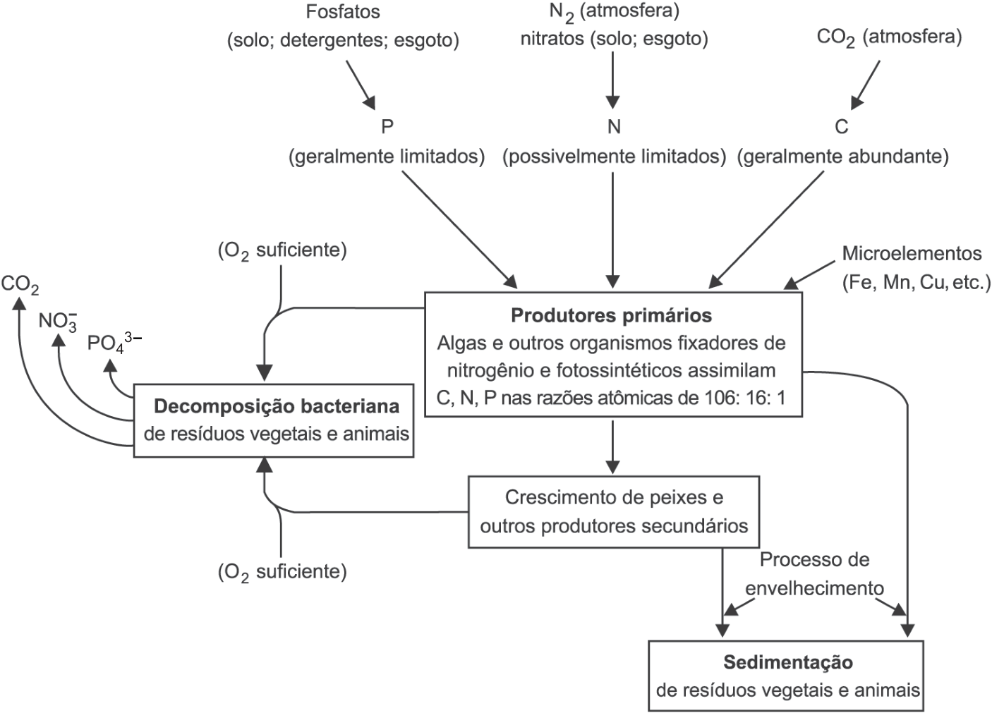 Fluxograma da dinâmica de nutrientes em um lago. No alto, três entradas: Fosfatos (solo; detergentes; esgoto) levam a P (geralmente limitados); N₂ (atmosfera) e nitratos (solo; esgoto) levam a N (possivelmente limitados); CO₂ (atmosfera) leva a C (geralmente abundante). P, N, C e Microelementos (Fe, Mn, Cu, etc.) convergem para a caixa "Produtores primários: algas e outros organismos fixadores de nitrogênio e fotossintéticos assimilam C, N, P nas razões atômicas de 106:16:1". Dela partem setas para "Crescimento de peixes e outros produtores secundários" e, por "Processo de envelhecimento", para "Sedimentação de resíduos vegetais e animais". Produtores primários e secundários alimentam, com O₂ suficiente, a "Decomposição bacteriana de resíduos vegetais e animais", que devolve CO₂, NO₃⁻ e PO₄³⁻ ao sistema.
