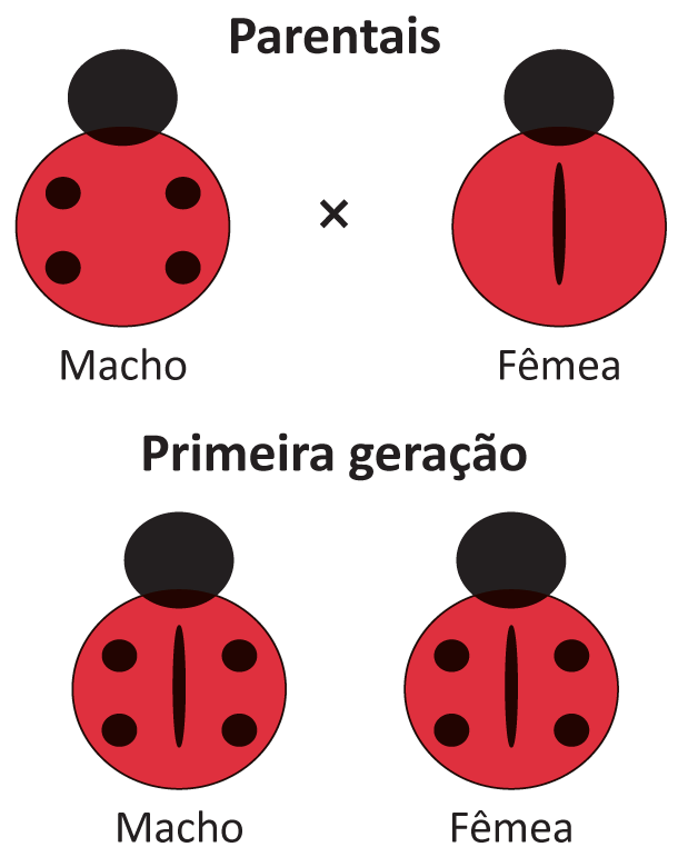 Imagem oficial do caderno (Inep, 610×771 px).