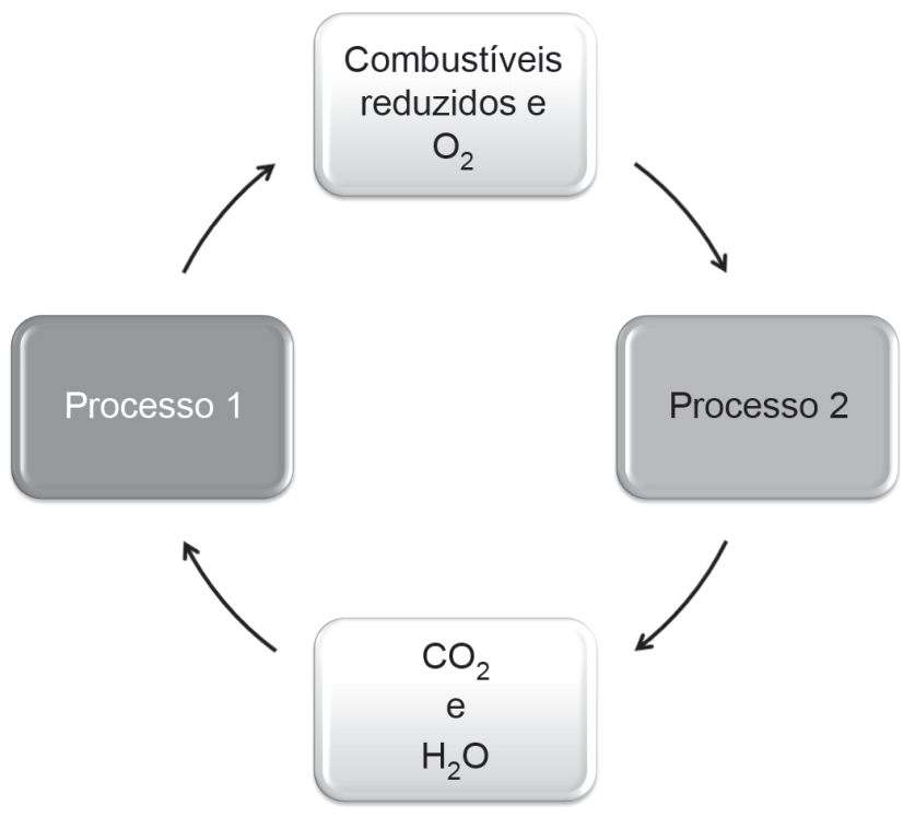 Diagrama cíclico com quatro caixas ligadas por setas curvas no sentido horário: no alto, 'Combustíveis reduzidos e O₂'; à direita, 'Processo 2'; embaixo, 'CO₂ e H₂O'; à esquerda, 'Processo 1'. As setas vão dos combustíveis para o Processo 2, deste para CO₂ e H₂O, destes para o Processo 1 e do Processo 1 de volta aos combustíveis.