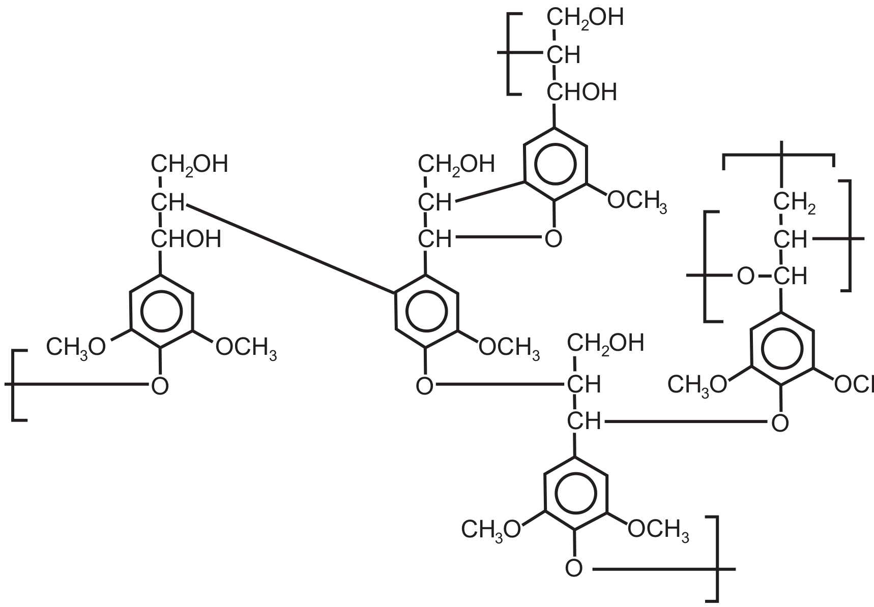 Fórmula estrutural de um fragmento da lignina: quatro anéis benzênicos ligados entre si por cadeias laterais de três carbonos (CH2OH–CH–CHOH) e por pontes de oxigênio (ligações éter); os anéis trazem grupos metoxila (OCH3), um ou dois por anel, e há grupos CH2OH e CHOH nas cadeias; colchetes nas extremidades indicam a continuação do polímero. Rótulo: Fragmento da Lignina.