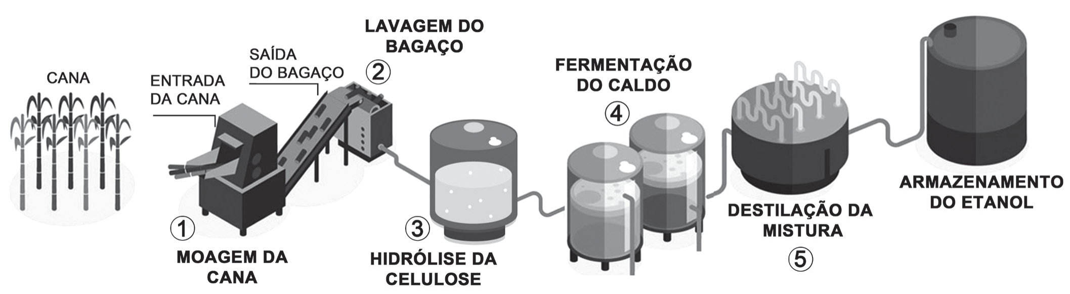 Esquema ilustrado, da esquerda para a direita: canavial (CANA); máquina com 'entrada da cana' e esteira com 'saída do bagaço', marcada 1 (MOAGEM DA CANA); equipamento ao fim da esteira marcado 2 (LAVAGEM DO BAGAÇO); tanque com líquido marcado 3 (HIDRÓLISE DA CELULOSE); dois tanques cilíndricos marcados 4 (FERMENTAÇÃO DO CALDO); tanque com serpentinas marcado 5 (DESTILAÇÃO DA MISTURA); e um grande reservatório escuro (ARMAZENAMENTO DO ETANOL).