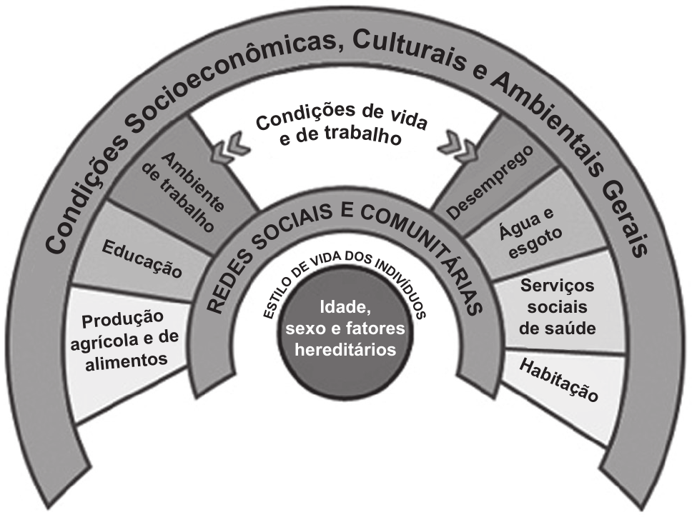 Diagrama em arcos concêntricos do modelo de determinantes sociais da saúde, lido de fora para dentro.

Arco externo: Condições Socioeconômicas, Culturais e Ambientais Gerais.
Arco seguinte, apontado por duas setas, reúne as Condições de vida e de trabalho, repartidas em: Ambiente de trabalho; Educação; Produção agrícola e de alimentos; Desemprego; Água e esgoto; Serviços sociais de saúde; Habitação.
Arco seguinte: Redes sociais e comunitárias.
Arco seguinte: Estilo de vida dos indivíduos.
Núcleo: Idade, sexo e fatores hereditários.