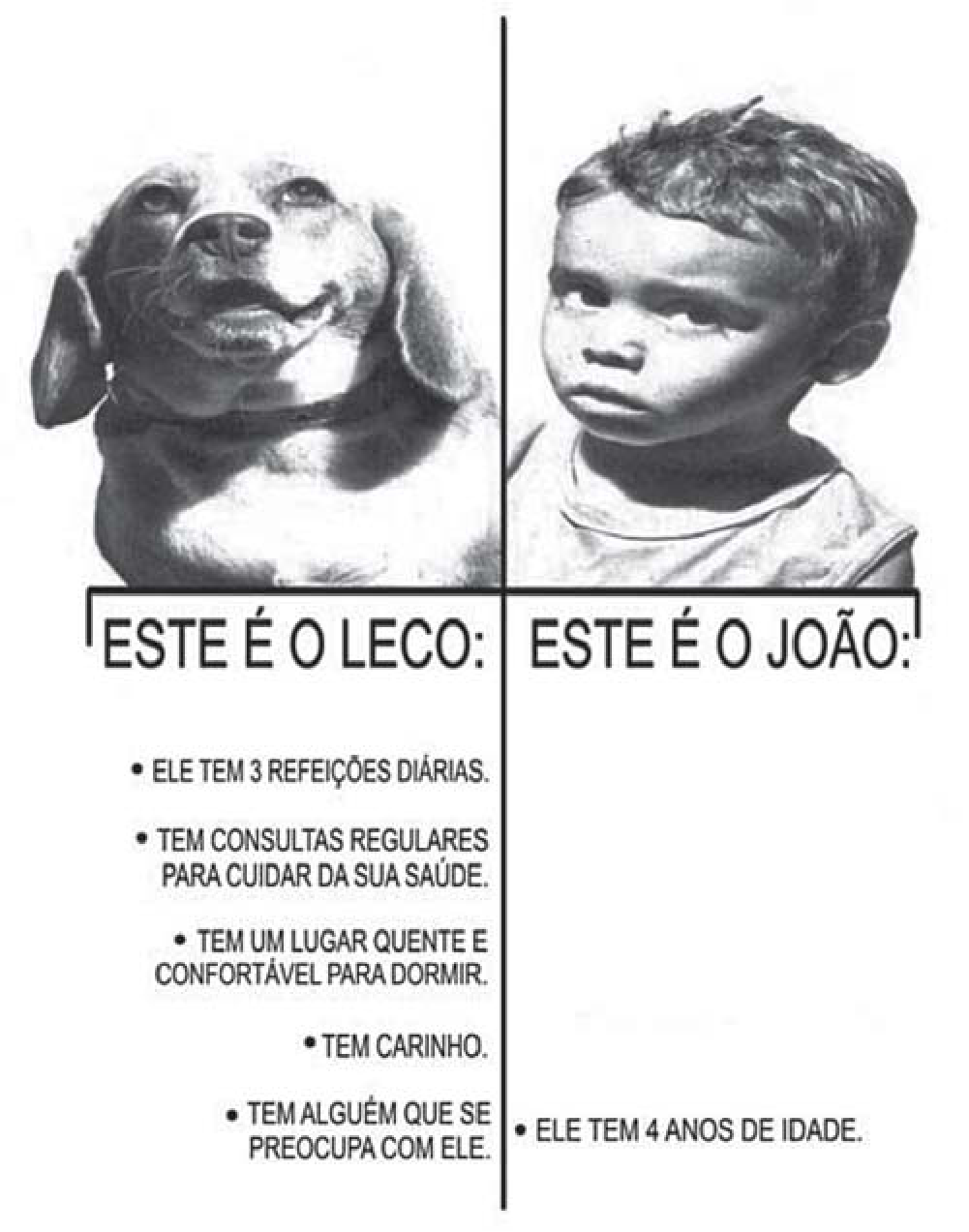 Anúncio em preto e branco dividido por uma linha vertical. À esquerda, a fotografia de um cachorro sorridente e o título “ESTE É O LECO:”, seguido de uma lista: ele tem 3 refeições diárias; tem consultas regulares para cuidar da sua saúde; tem um lugar quente e confortável para dormir; tem carinho; tem alguém que se preocupa com ele. À direita, a fotografia de um menino sério, de camiseta, e o título “ESTE É O JOÃO:”, seguido de um único item: ele tem 4 anos de idade.
