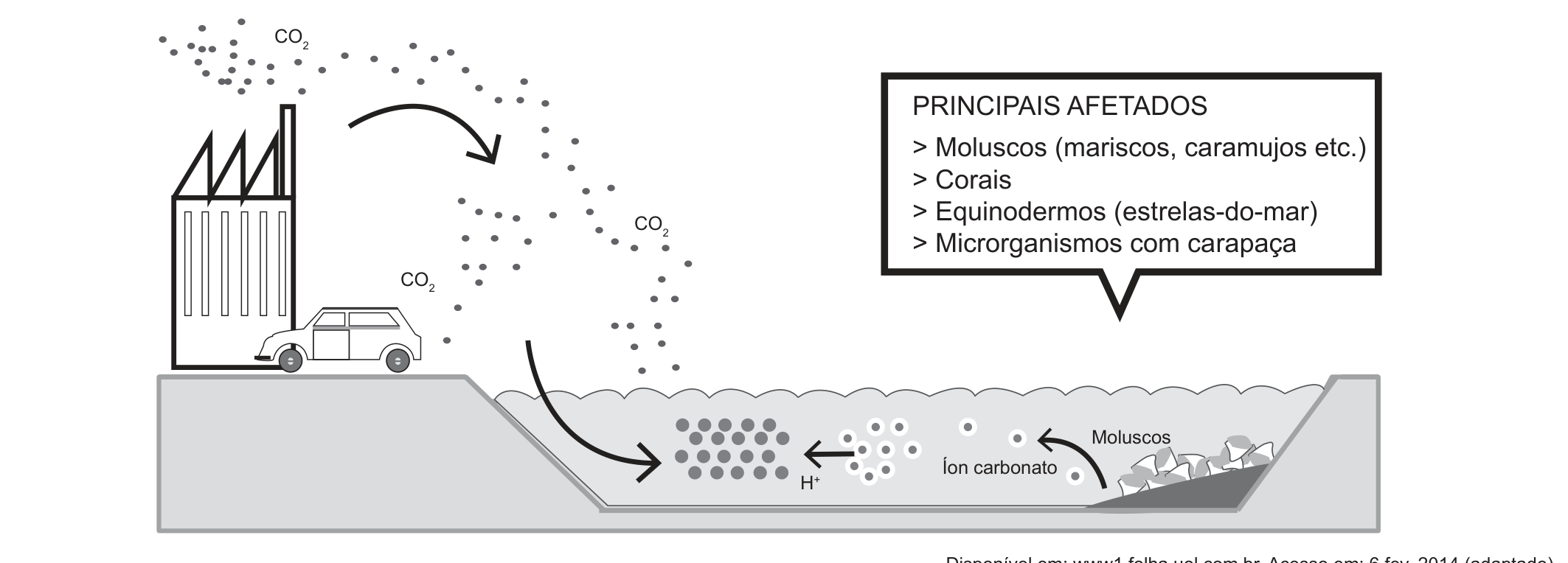 Infográfico em preto e branco. À esquerda, uma fábrica com chaminés e um automóvel lançam nuvens de pontos rotuladas "CO₂"; setas curvas levam esses pontos do ar para dentro de um corpo de água desenhado em corte, à direita. Dentro da água, uma seta mostra "H⁺" seguindo para o "Íon carbonato" (círculos claros), e outra seta aponta para conchas rotuladas "Moluscos". Um quadro no canto superior direito lista "PRINCIPAIS AFETADOS: > Moluscos (mariscos, caramujos etc.) > Corais > Equinodermos (estrelas-do-mar) > Microrganismos com carapaça".