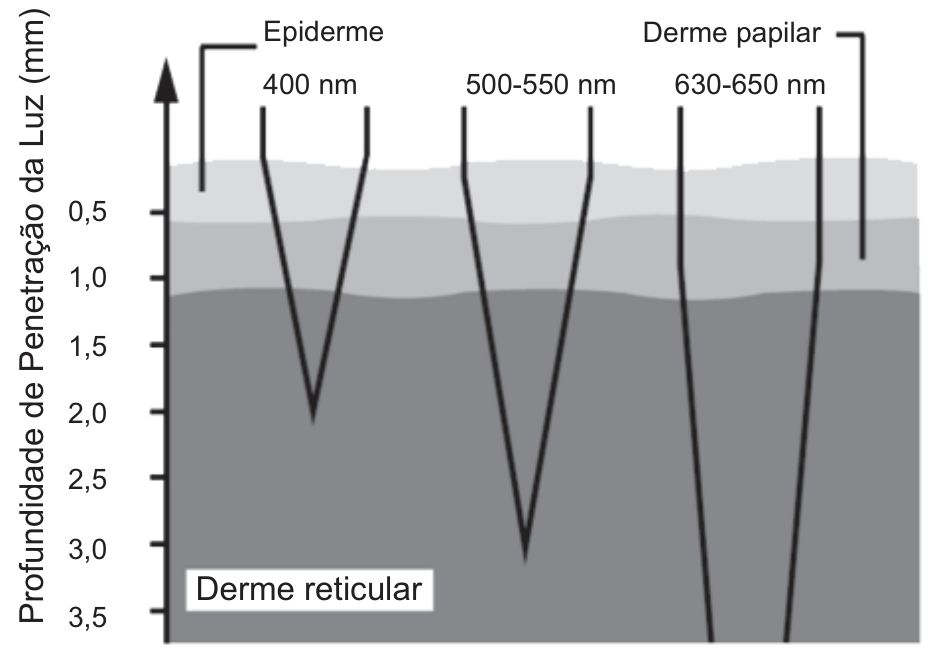 Gráfico da profundidade de penetração da luz na pele, em milímetros (eixo vertical de 0 a 3,5 mm, crescendo para baixo), com três camadas sombreadas: epiderme (fina, no topo), derme papilar e derme reticular. Três feixes em forma de V descem a partir da superfície: o de 400 nm chega a cerca de 2 mm; o de 500–550 nm, a cerca de 3 mm; o de 630–650 nm ultrapassa 3,5 mm.