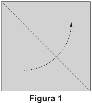 Figura 1: primeira dobra do quadrado.