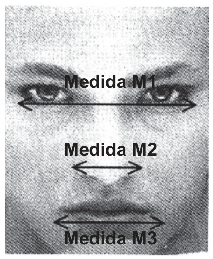 Fotografia em preto e branco do rosto de uma pessoa, da altura dos olhos até o queixo, com três setas horizontais de ponta dupla e seus rótulos em negrito: "Medida M1", na altura dos olhos, de um canto externo ao outro; "Medida M2", na largura do nariz; "Medida M3", na largura da boca.