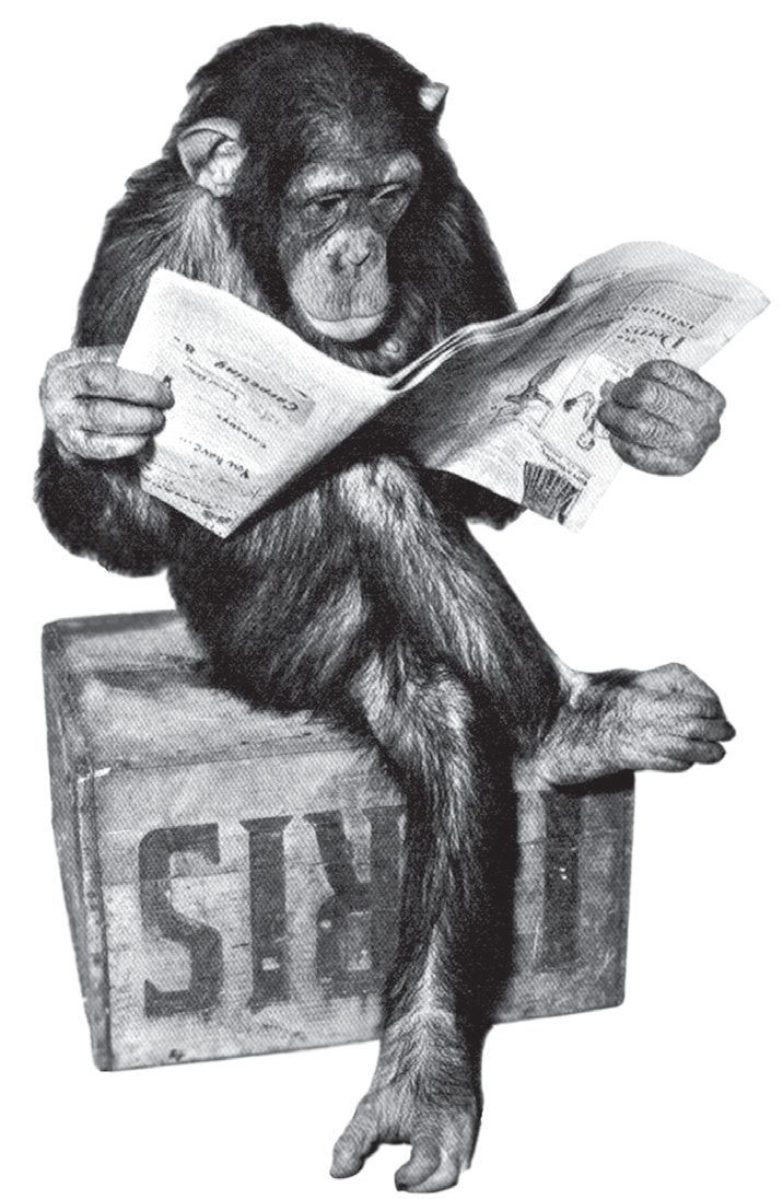 Fotografia em preto e branco de um chimpanzé sentado sobre uma caixa de madeira, lendo um jornal aberto; legenda abaixo: "Extra, extra. Este macaco é humano."