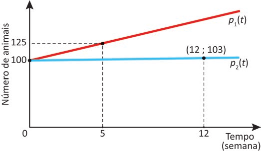 Gráfico com o eixo vertical "Número de animais", marcado em 100 e 125, e o eixo horizontal "Tempo (semana)", marcado em 0, 5 e 12. Duas retas partem do valor 100 no eixo vertical, no tempo 0: a vermelha, identificada como p₁(t), sobe e passa pelo ponto destacado (5; 125); a azul, identificada como p₂(t), é quase horizontal e passa pelo ponto destacado, rotulado "(12 ; 103)". Linhas tracejadas ligam os pontos destacados aos eixos.