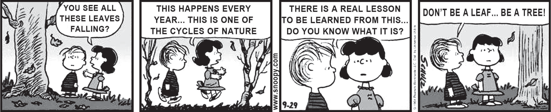 Tira de Peanuts, de Schulz, em quatro quadrinhos com Linus e Lucy sob árvores de outono. 1º: "You see all these leaves falling?". 2º: "This happens every year... this is one of the cycles of nature". 3º: "There is a real lesson to be learned from this... do you know what it is?". 4º: "Don't be a leaf... be a tree!".
