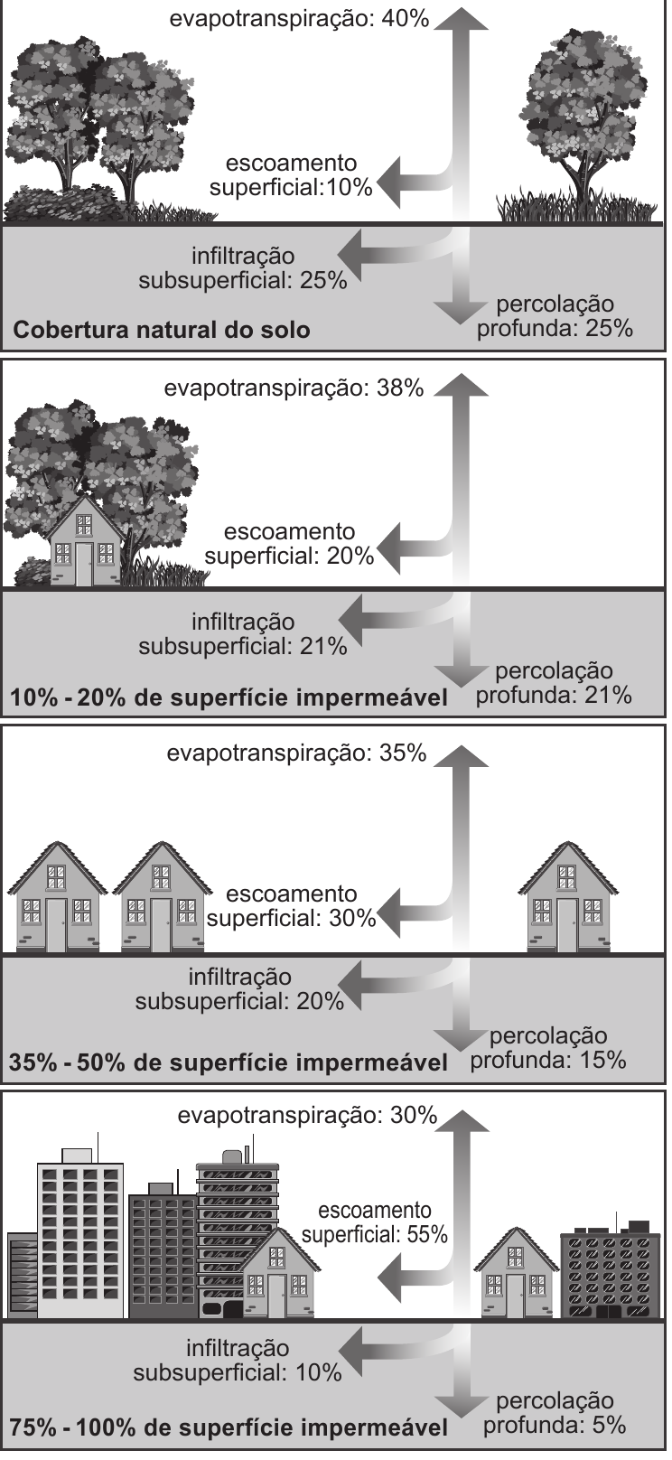 Infográfico com quatro cenários de cobertura do solo.
