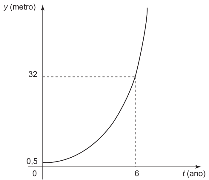 Gráfico de y (metro) em função de t (ano): curva exponencial crescente que parte de y = 0,5 em t = 0 e passa por y = 32 em t = 6, com linhas tracejadas marcando esse ponto.