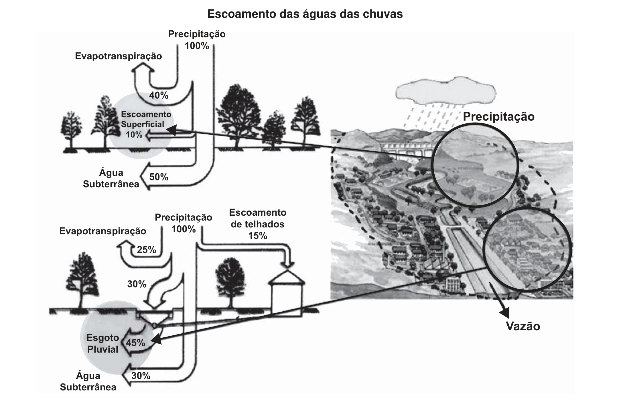 Diagrama intitulado “Escoamento das águas das chuvas”, com dois esquemas e uma ilustração de paisagem. Escoamento natural: precipitação 100%; evapotranspiração 40%; escoamento superficial 10%; água subterrânea 50%. Escoamento urbano: precipitação 100%; evapotranspiração 25%; escoamento de telhados 15%; 30% de água subterrânea; 45% para o esgoto pluvial; a ilustração à direita liga a área de precipitação e a vazão urbana.
