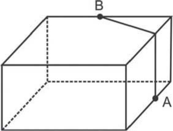 Desenho em perspectiva de um paralelepípedo (o salão), com arestas ocultas tracejadas. O ponto B está sobre a aresta superior de trás, no teto, à direita do meio; dele parte um segmento até a quina superior direita da frente. O ponto A está na parede lateral direita, na aresta vertical da frente, um pouco acima do piso.