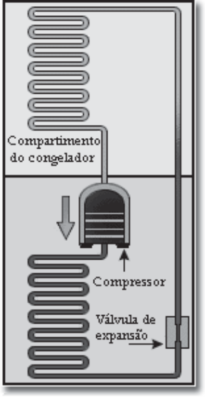 Esquema em corte de uma geladeira: serpentina no compartimento do congelador, na parte superior interna; compressor na parte inferior externa; válvula de expansão à direita, com setas indicando o sentido de circulação do gás pela tubulação.