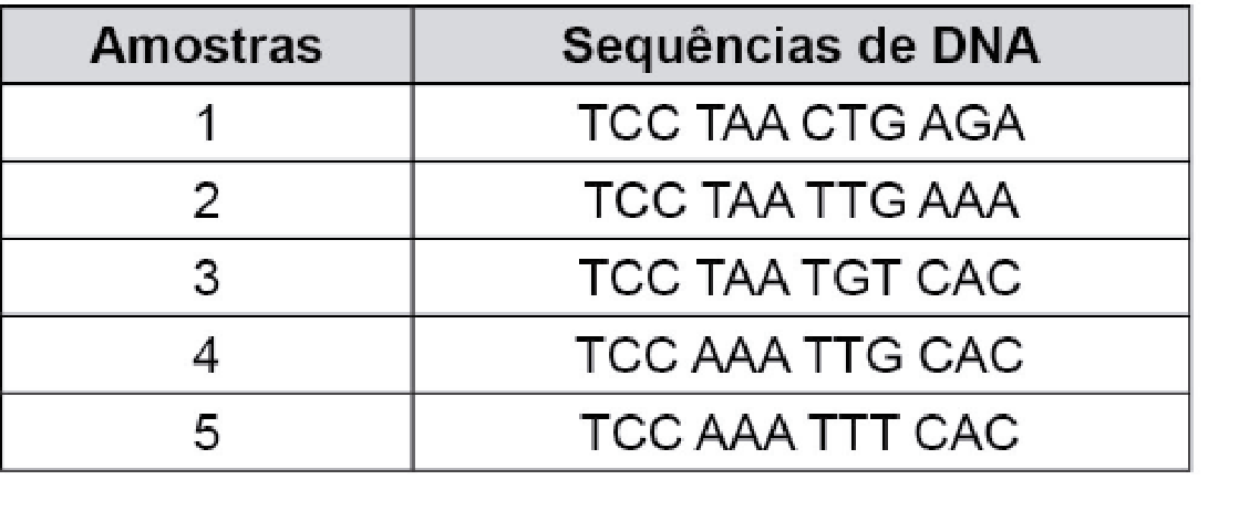 Quadro 2, "Amostras" e "Sequências de DNA": 1 TCC TAA CTG AGA; 2 TCC TAA TTG AAA; 3 TCC TAA TGT CAC; 4 TCC AAA TTG CAC; 5 TCC AAA TTT CAC.