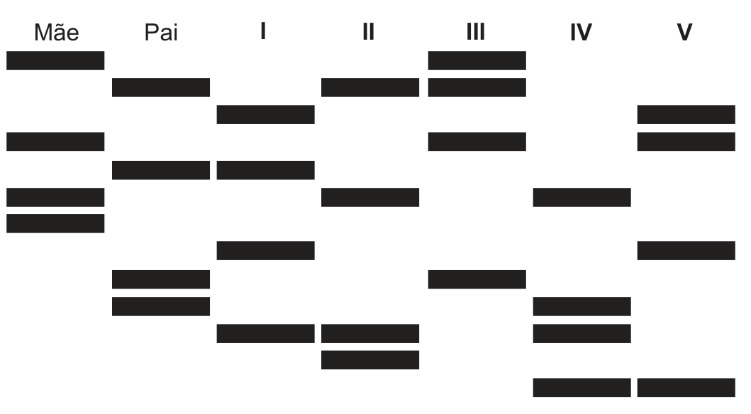 Padrão de bandas de um teste de DNA em sete colunas: Mãe, Pai, I, II, III, IV e V. As barras escuras ocupam 13 linhas possíveis, contadas de cima para baixo. Mãe: linhas 1, 4, 6 e 7. Pai: linhas 2, 5, 9 e 10. Jovem I: linhas 3, 5, 8 e 11. Jovem II: linhas 2, 6, 11 e 12. Jovem III: linhas 1, 2, 4 e 9. Jovem IV: linhas 6, 10, 11 e 13. Jovem V: linhas 3, 4, 8 e 13.