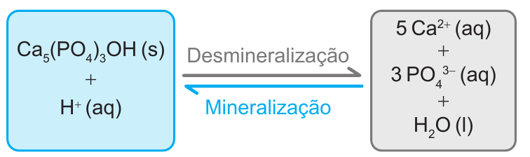 Equilíbrio da hidroxiapatita, com desmineralização no sentido direto e mineralização no sentido inverso.