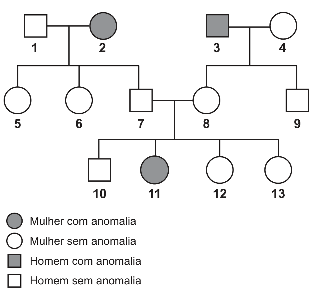 Heredograma de três gerações com legenda: círculo cinza = mulher com anomalia; círculo branco = mulher sem anomalia; quadrado cinza = homem com anomalia; quadrado branco = homem sem anomalia. Primeira geração: o casal 1 (homem branco) e 2 (mulher cinza) e o casal 3 (homem cinza) e 4 (mulher branca). Segunda geração: filhos de 1 e 2 são 5 (mulher branca), 6 (mulher branca) e 7 (homem branco); filhos de 3 e 4 são 8 (mulher branca) e 9 (homem branco). O casal 7 e 8 tem quatro filhos na terceira geração: 10 (homem branco), 11 (mulher cinza), 12 (mulher branca) e 13 (mulher branca).