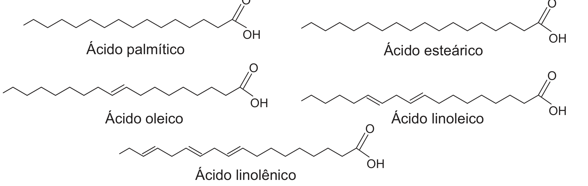 Fórmulas estruturais em linha (zigue-zague) de cinco ácidos graxos, cada uma terminando em um grupo carboxila (C=O e OH). Ácido palmítico: cadeia longa sem ligações duplas. Ácido esteárico: cadeia ainda mais longa, sem ligações duplas. Ácido oleico: cadeia longa com uma ligação dupla no meio. Ácido linoleico: cadeia longa com duas ligações duplas. Ácido linolênico: cadeia longa com três ligações duplas.