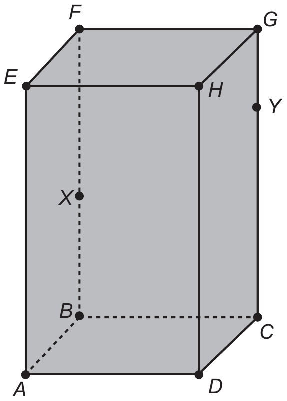 Prisma reto de base retangular ABCD (base inferior, A à frente-esquerda, D à frente-direita, B atrás-esquerda, C atrás-direita) e face superior EFGH (E sobre A, F sobre B, G sobre C, H sobre D). O ponto X está na aresta vertical BF e o ponto Y na aresta vertical CG. Arestas ocultas em tracejado; faces visíveis em cinza.