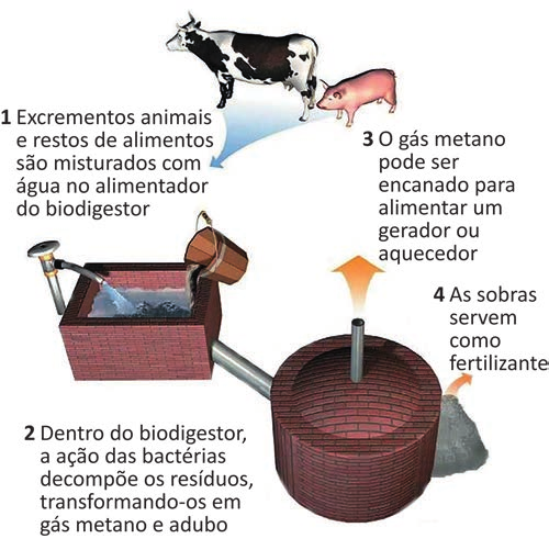 Imagem oficial do caderno (Inep, 500×501 px).