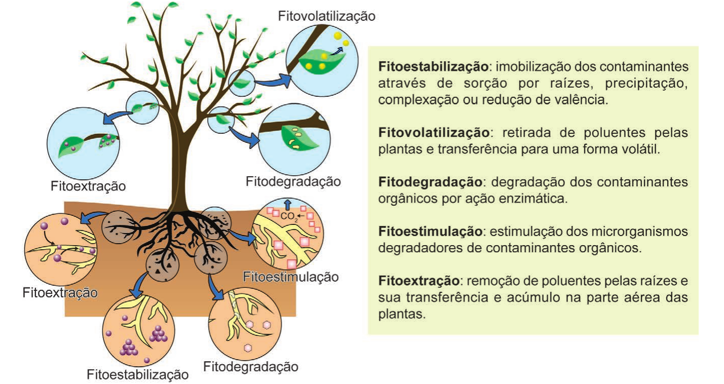 Imagem oficial do caderno (Inep, 1429×758 px).