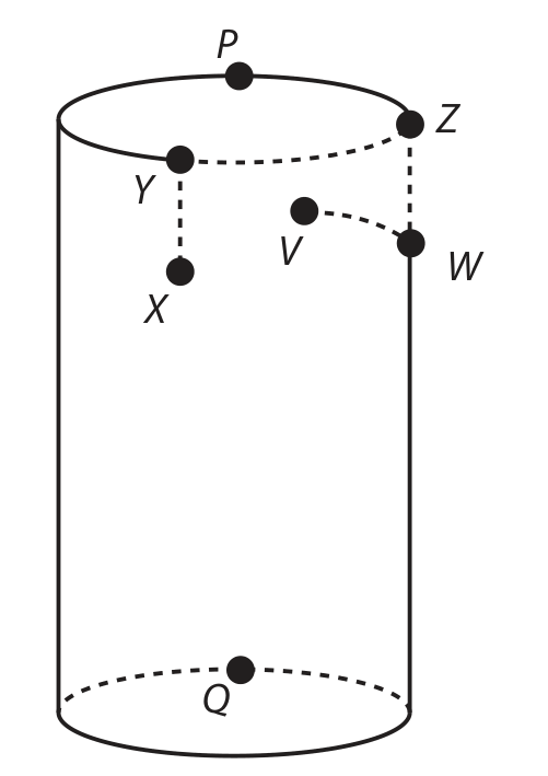 Desenho de um copo cilíndrico reto, visto de lado, com a borda superior elíptica. Na borda, no alto, o ponto P; na base, embaixo, o ponto Q, diametralmente abaixo de P. Na parede externa, à esquerda, o ponto Y está na borda e o ponto X logo abaixo dele, ligado a Y por um segmento tracejado vertical. Na borda, à direita, o ponto Z; abaixo dele, na parede, o ponto W, ligado a Z por um segmento tracejado vertical. O ponto V, no interior do copo, está à esquerda de W, à mesma altura, ligado a W por um arco tracejado. Um arco tracejado sobre a borda liga Y a Z.