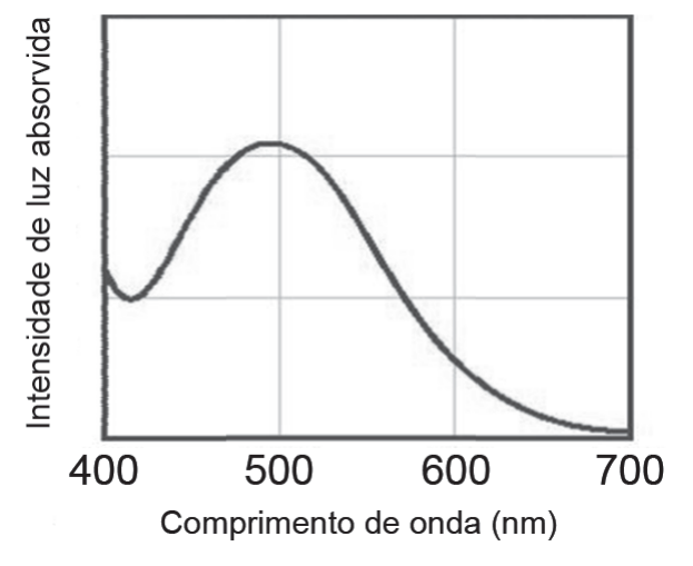 Gráfico da intensidade de luz absorvida (eixo vertical, sem escala numérica) em função do comprimento de onda em nanômetros (eixo horizontal, de 400 a 700). A curva parte de um valor moderado em 400 nm, desce um pouco, sobe até um máximo em torno de 500 nm e decresce suavemente até quase zero em 700 nm.