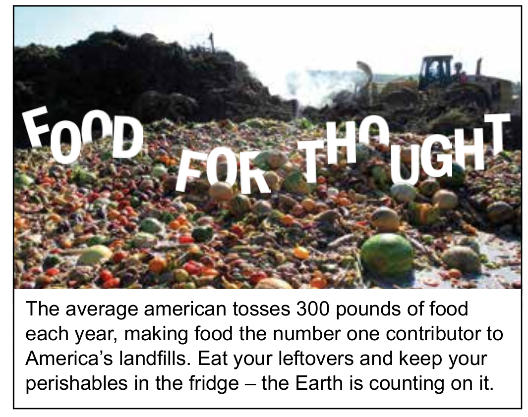 Cartaz Food for Thought sobre desperdício de alimentos, com um aterro de frutas e legumes ao fundo.
FOOD FOR THOUGHT. The average American tosses 300 pounds of food each year, making food the number one contributor to America’s landfills. Eat your leftovers and keep your perishables in the fridge – the Earth is counting on it.
