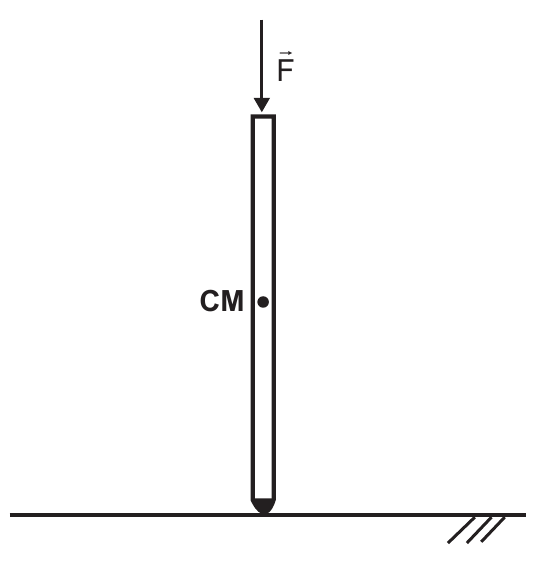 Muleta na vertical, com a extremidade inferior apoiada no piso horizontal. Um ponto na região central está identificado por CM. Na extremidade superior, o vetor F aponta verticalmente para baixo.
