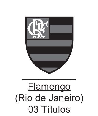 Quadro do Flamengo, com brasão, nome, estado e quantidade de títulos.