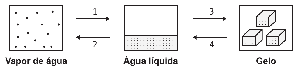 Três quadros lado a lado, ligados por setas, cada um com um rótulo embaixo.

Quadro da esquerda, rotulado "Vapor de água": pontos esparsos espalhados por toda a área.
Quadro do meio, rotulado "Água líquida": a metade inferior preenchida por pontos muito próximos e a metade superior vazia.
Quadro da direita, rotulado "Gelo": três blocos cúbicos desenhados em perspectiva, com pontos nas faces.

Entre o primeiro e o segundo quadro há duas setas: a de cima, numerada 1, aponta para a direita; a de baixo, numerada 2, aponta para a esquerda. Entre o segundo e o terceiro quadro, a seta de cima, numerada 3, aponta para a direita e a de baixo, numerada 4, aponta para a esquerda.