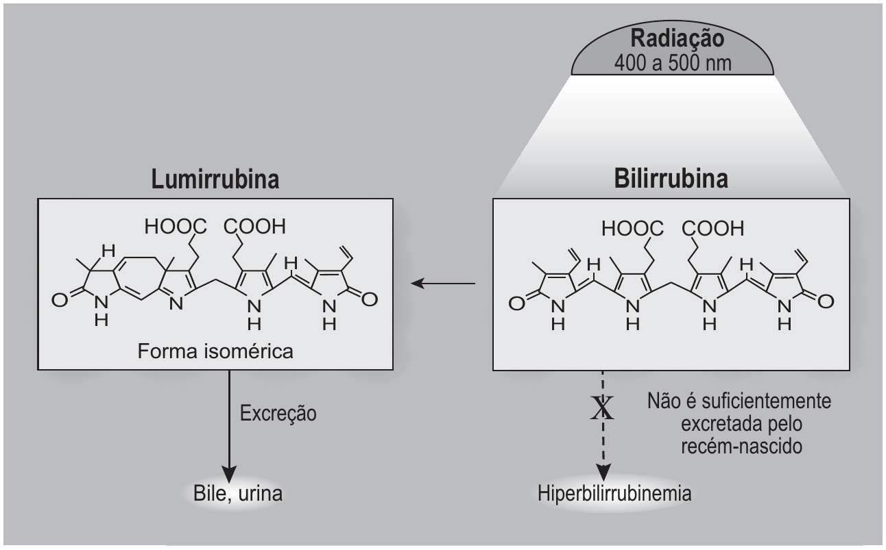 Diagrama da fototerapia: à direita, a bilirrubina recebe “Radiação 400 a 500 nm” e sua estrutura é mostrada; uma seta tracejada marcada com X leva a “Hiperbilirrubinemia”, com a nota “Não é suficientemente excretada pelo recém-nascido”. Uma seta horizontal leva da bilirrubina à lumirrubina, à esquerda, cuja estrutura aparece rotulada como “Forma isomérica”; dela sai a seta “Excreção” para “Bile, urina”. As duas estruturas têm os mesmos grupos HOOC e COOH e a mesma fórmula; na bilirrubina há um grupo vinila em cada extremidade, enquanto na lumirrubina o extremo da esquerda está fechado em um anel a mais, com um carbono saturado que traz um hidrogênio e um grupo metila no lugar daquela vinila.