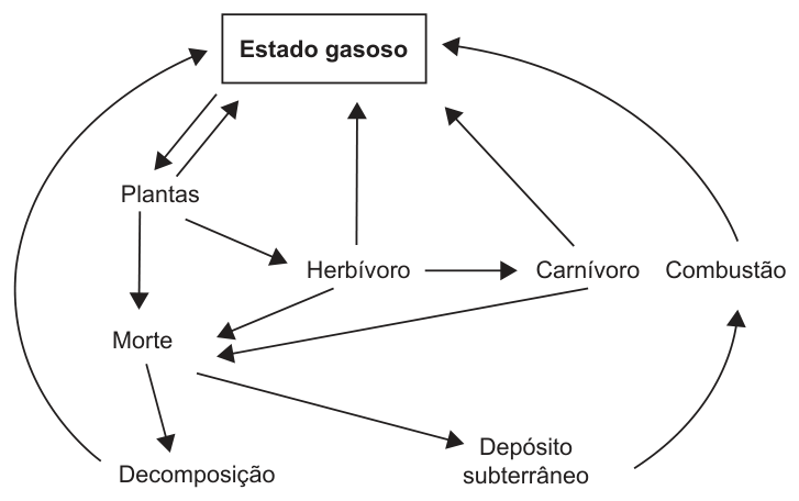 Esquema com a caixa 'Estado gasoso' no alto. Setas de ida e volta entre 'Estado gasoso' e 'Plantas'. De 'Plantas' saem setas para 'Herbívoro' e para 'Morte'; de 'Herbívoro' para 'Carnívoro', para 'Estado gasoso' e para 'Morte'; de 'Carnívoro' para 'Estado gasoso' e para 'Morte'. De 'Morte' saem setas para 'Decomposição' e para 'Depósito subterrâneo'. 'Decomposição' aponta para 'Estado gasoso'; 'Depósito subterrâneo' aponta para 'Combustão', que aponta para 'Estado gasoso'.