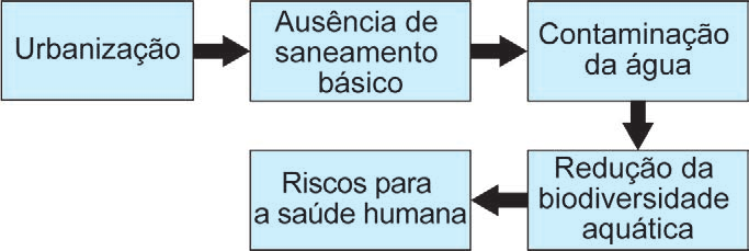 Fluxograma que relaciona urbanização, falta de saneamento, contaminação da água, biodiversidade aquática e saúde humana.