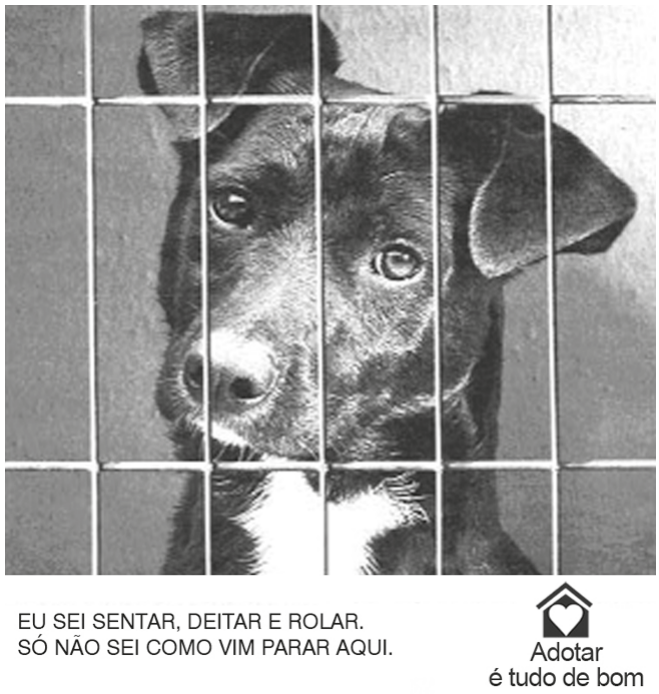 Anúncio com fotografia em preto e branco de um cão preto com uma mancha branca no peito, visto de frente atrás de uma grade metálica, com olhar atento e orelhas caídas. Abaixo da foto, à esquerda, o texto em letras maiúsculas: “EU SEI SENTAR, DEITAR E ROLAR. SÓ NÃO SEI COMO VIM PARAR AQUI.” À direita, um logotipo com o desenho de uma casa contendo um coração e as palavras “Adotar é tudo de bom”.