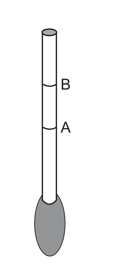 Desenho do densímetro caseiro: um canudinho vertical com uma bola de massa de modelar cinza presa na ponta inferior. No canudinho há duas marcas horizontais: a marca B, mais acima, e a marca A, mais abaixo.