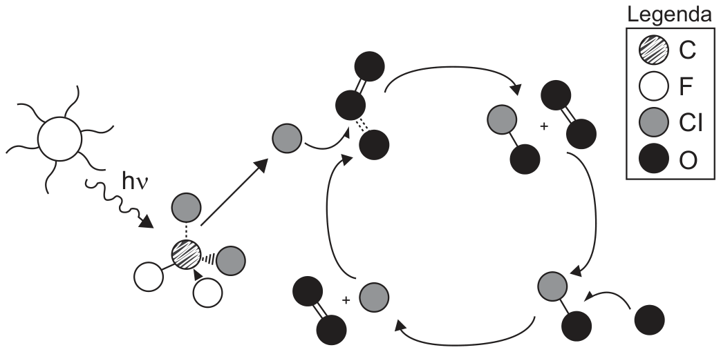 Esquema do ciclo de destruição do ozônio. À esquerda, o Sol emite radiação (hν) sobre uma molécula de CFC formada por um átomo de carbono, dois de flúor e dois de cloro; um átomo de cloro se desprende. À direita, um ciclo com setas: o cloro encontra uma molécula de ozônio (três átomos de oxigênio), formando monóxido de cloro (Cl–O) e uma molécula de O₂; o monóxido de cloro encontra um átomo de oxigênio e libera o cloro e outra molécula de O₂. Legenda: C, F, Cl e O identificados por esferas de tons diferentes.