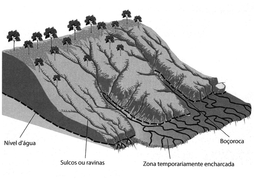 Esquema em perspectiva de uma encosta com árvores no topo e solo exposto na vertente, marcada por sulcos ou ravinas que descem até a base; na parte baixa, uma boçoroca, uma zona temporariamente encharcada com canais sinuosos e a indicação do nível d’água.