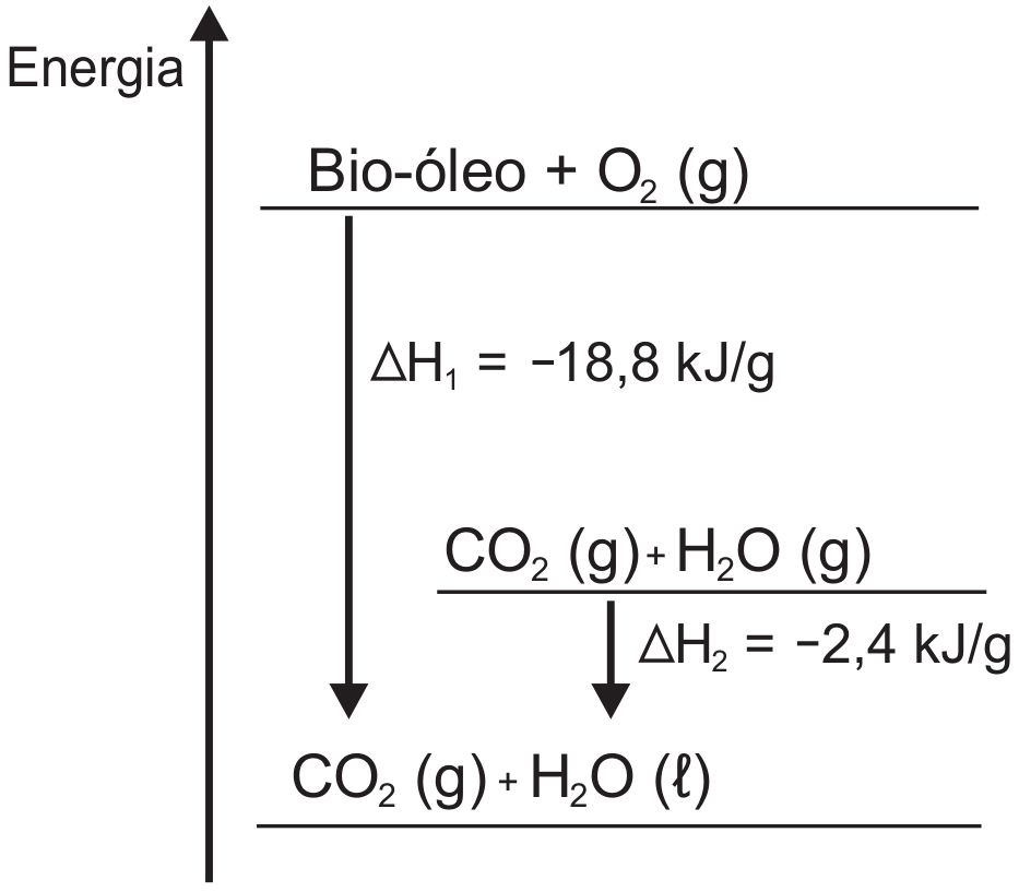 Diagrama com energia crescente para cima. Nível superior: bio-óleo mais O₂ gasoso. Nível intermediário: CO₂ gasoso mais H₂O gasoso. Inferior: CO₂ gasoso mais H₂O líquido. Seta superior-inferior: ΔH₁=−18,8 kJ/g. Seta intermediário-inferior: ΔH₂=−2,4 kJ/g.