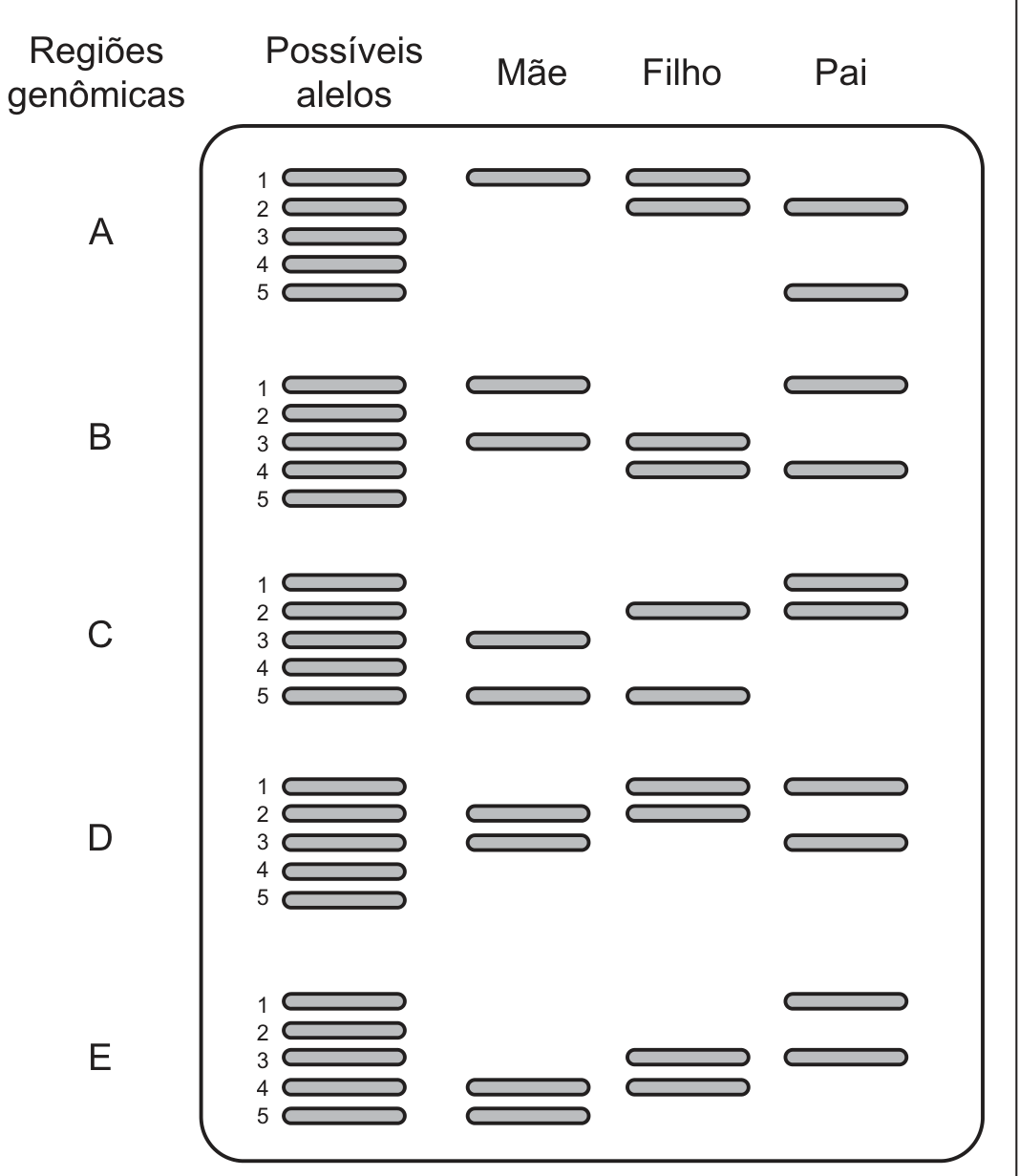 Esquema de eletroforese com cinco regiões genômicas (A a E), cada uma com cinco posições de alelos (1 a 5) e três colunas: Mãe, Filho e Pai. Região A: mãe alelo 1; filho alelos 1 e 2; pai 2 e 5. Região B: mãe 1 e 3; filho 3 e 4; pai 1 e 4. Região C: mãe 3 e 5; filho 2 e 5; pai 1 e 2. Região D: mãe 1 e 2; filho 1 e 2; pai 1 e 3. Região E: mãe 4 e 5; filho 3 e 4; pai 1 e 3.